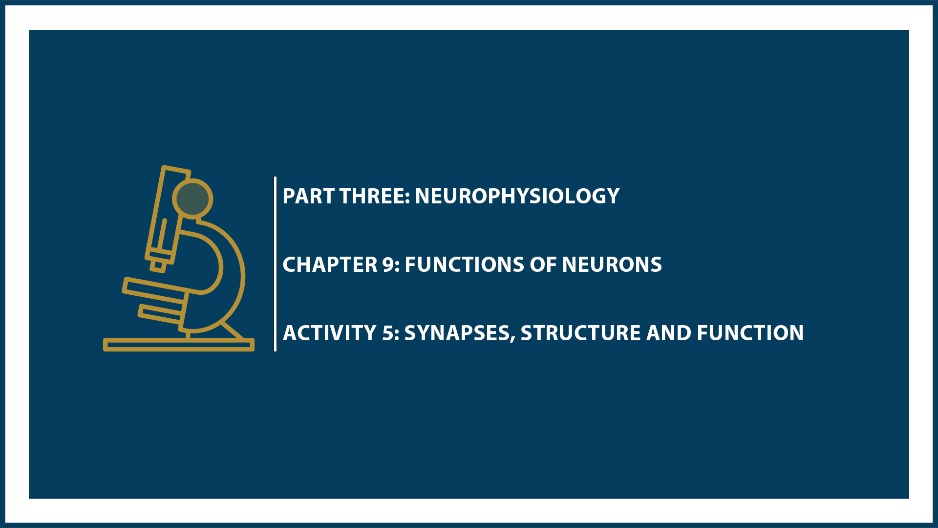 Unit Three: (Suspended part) Chapter 9 - Document 5: Synapses, structure and function